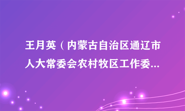 王月英（内蒙古自治区通辽市人大常委会农村牧区工作委员会主任）