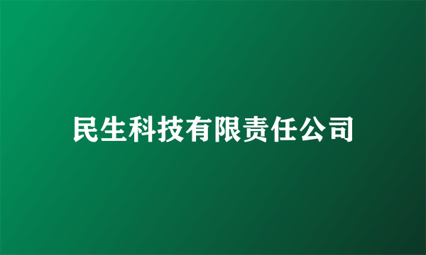 民生科技有限责任公司