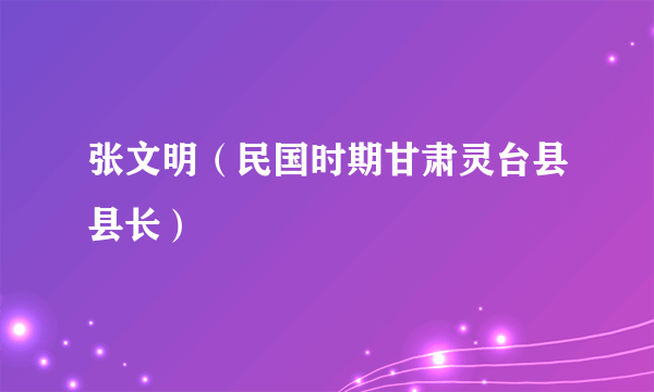 张文明（民国时期甘肃灵台县县长）