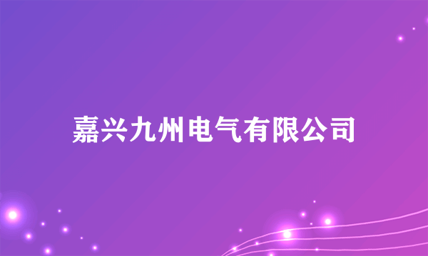 嘉兴九州电气有限公司