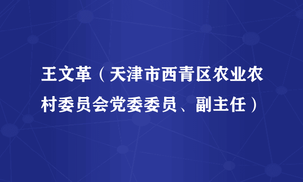 王文革（天津市西青区农业农村委员会党委委员、副主任）