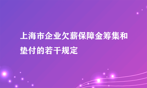 上海市企业欠薪保障金筹集和垫付的若干规定