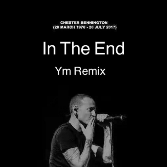 In the End（Tommee Profitt制作单曲）