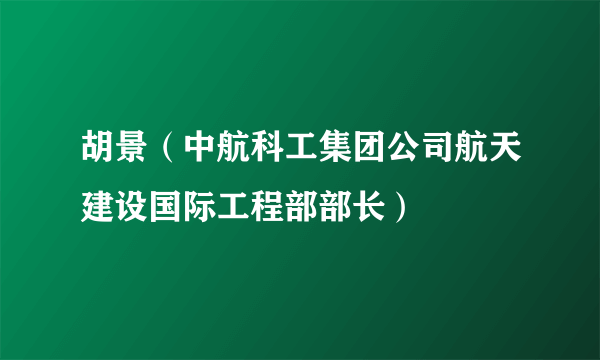 胡景（中航科工集团公司航天建设国际工程部部长）