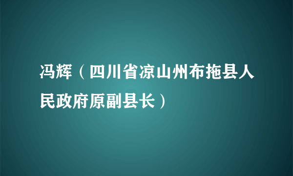 冯辉（四川省凉山州布拖县人民政府原副县长）