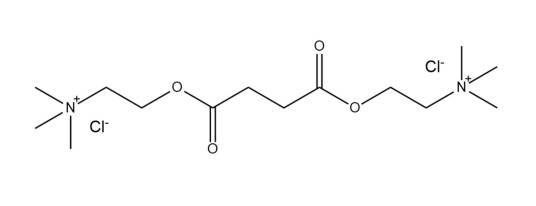 氯化琥珀胆碱