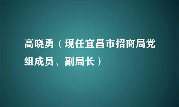 高晓勇（现任宜昌市招商局党组成员、副局长）