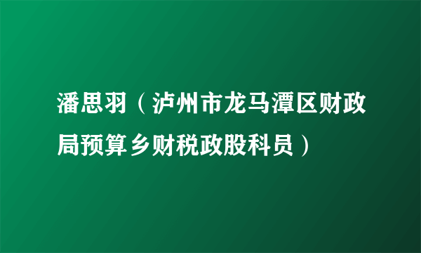 潘思羽（泸州市龙马潭区财政局预算乡财税政股科员）