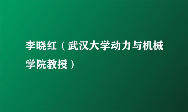 李晓红（武汉大学动力与机械学院教授）