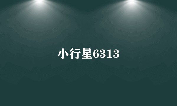 小行星6313