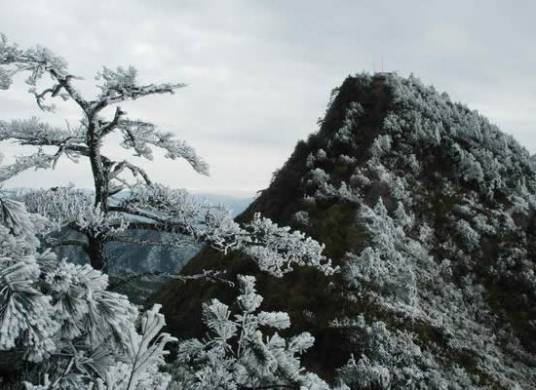 大仙峰自然保护区