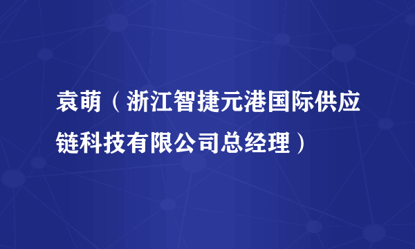 袁萌（浙江智捷元港国际供应链科技有限公司总经理）