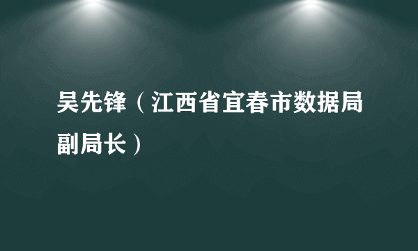 吴先锋（江西省宜春市数据局副局长）