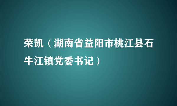 荣凯（湖南省益阳市桃江县石牛江镇党委书记）