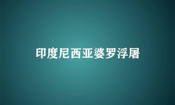 印度尼西亚婆罗浮屠