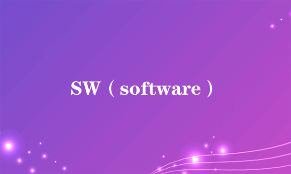 SW（software）