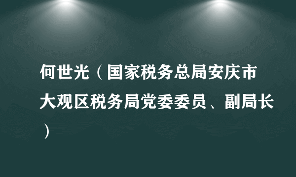 何世光（国家税务总局安庆市大观区税务局党委委员、副局长）