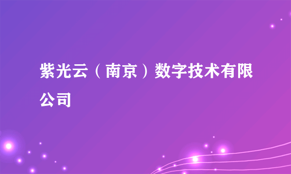 紫光云（南京）数字技术有限公司