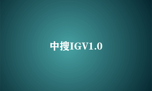 中搜IGV1.0