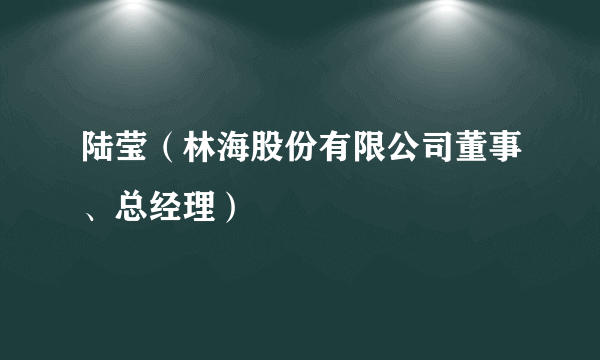 陆莹（林海股份有限公司董事、总经理）