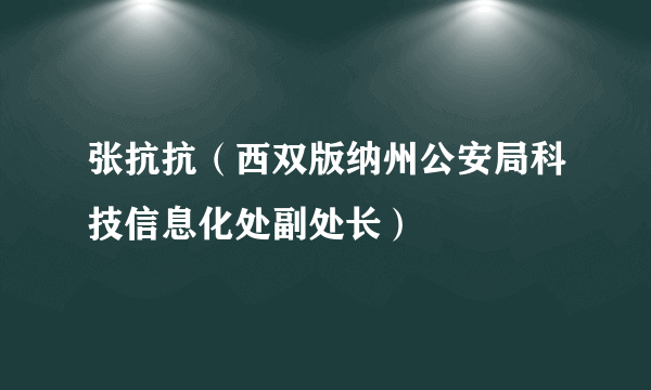 张抗抗（西双版纳州公安局科技信息化处副处长）