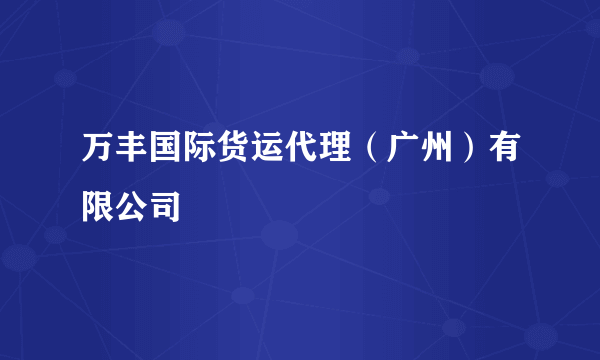 万丰国际货运代理（广州）有限公司