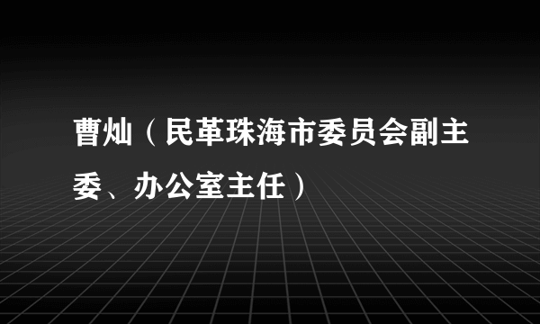 曹灿（民革珠海市委员会副主委、办公室主任）