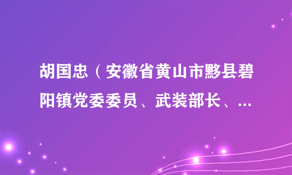 胡国忠（安徽省黄山市黟县碧阳镇党委委员、武装部长、政法委员）