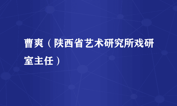 曹爽（陕西省艺术研究所戏研室主任）