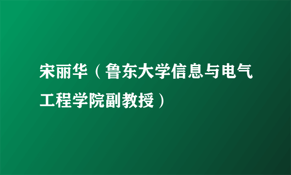 宋丽华（鲁东大学信息与电气工程学院副教授）