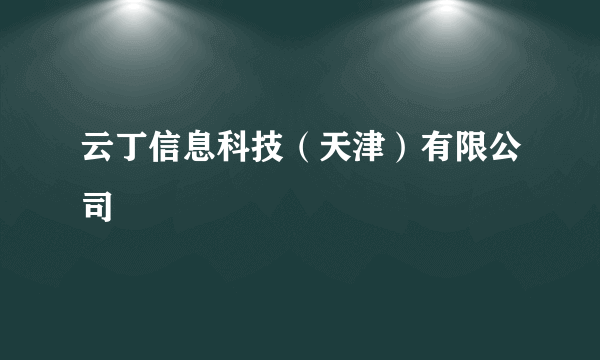 云丁信息科技（天津）有限公司