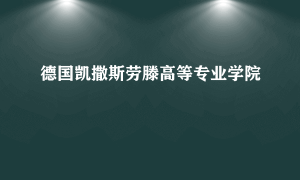 德国凯撒斯劳滕高等专业学院