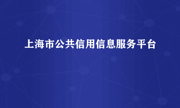 上海市公共信用信息服务平台