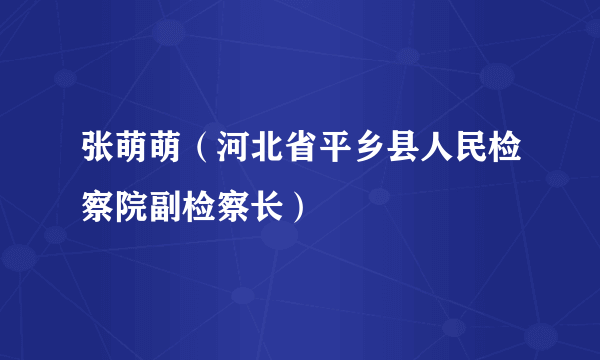 张萌萌（河北省平乡县人民检察院副检察长）