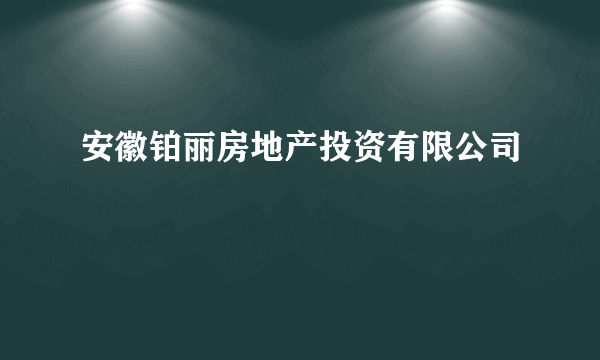 安徽铂丽房地产投资有限公司