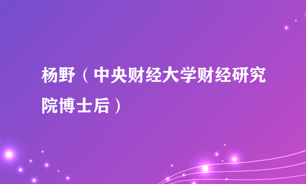 杨野（中央财经大学财经研究院博士后）