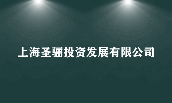 上海圣骊投资发展有限公司