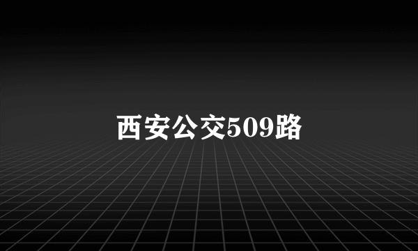 西安公交509路