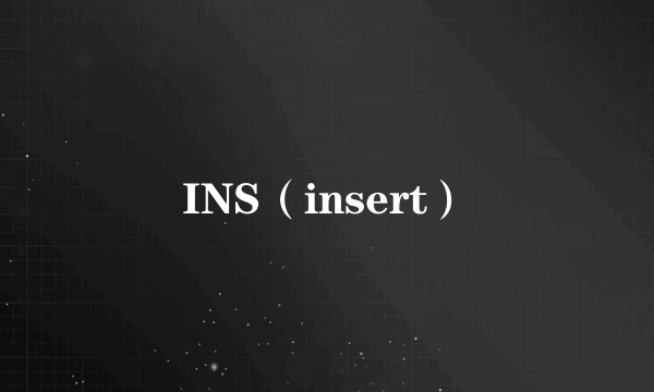 INS（insert）