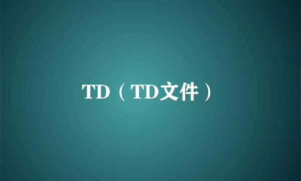 TD（TD文件）