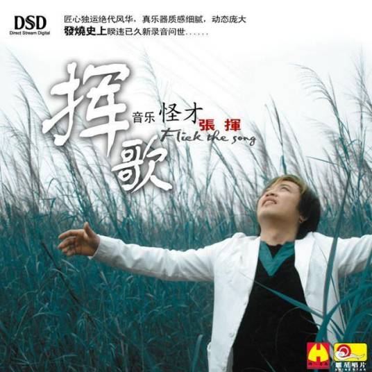 爱情多瑙河（2005年中国歌手张挥演唱的歌曲）