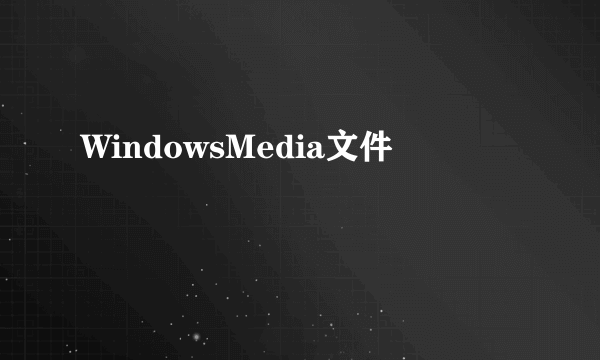 WindowsMedia文件