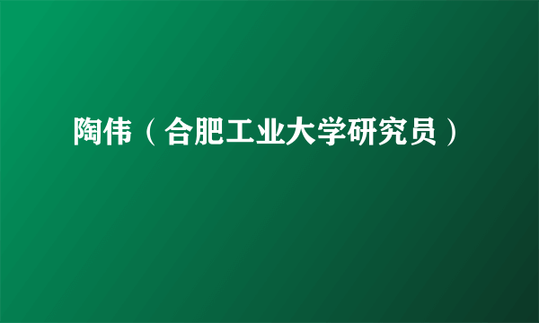 陶伟（合肥工业大学研究员）