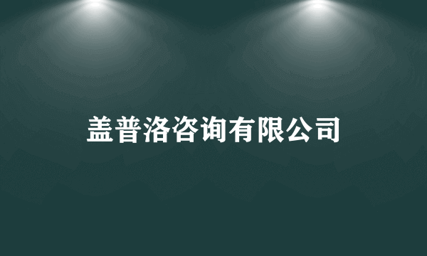 盖普洛咨询有限公司