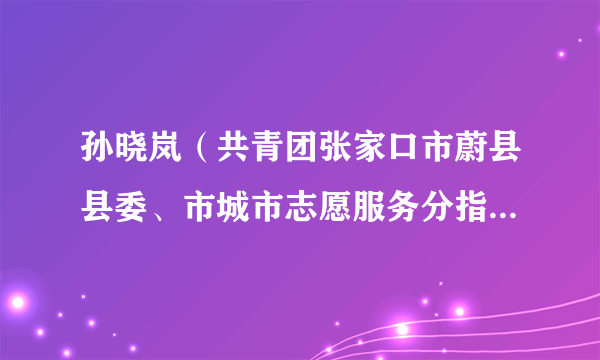 孙晓岚（共青团张家口市蔚县县委、市城市志愿服务分指挥部蔚县办公中心团蔚县县委书记）