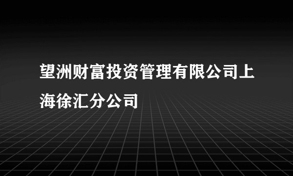 望洲财富投资管理有限公司上海徐汇分公司