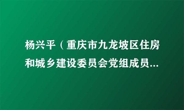 杨兴平（重庆市九龙坡区住房和城乡建设委员会党组成员、二级调研员）