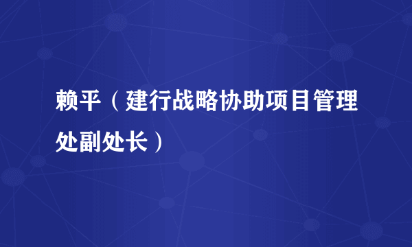 赖平（建行战略协助项目管理处副处长）