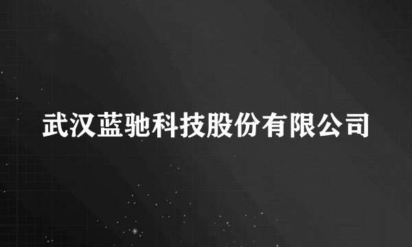 武汉蓝驰科技股份有限公司