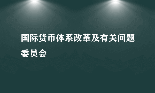 国际货币体系改革及有关问题委员会